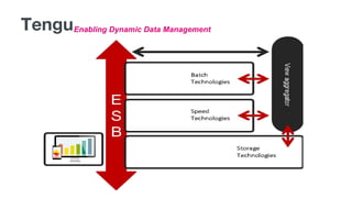 TenguEnabling Dynamic Data Management
 