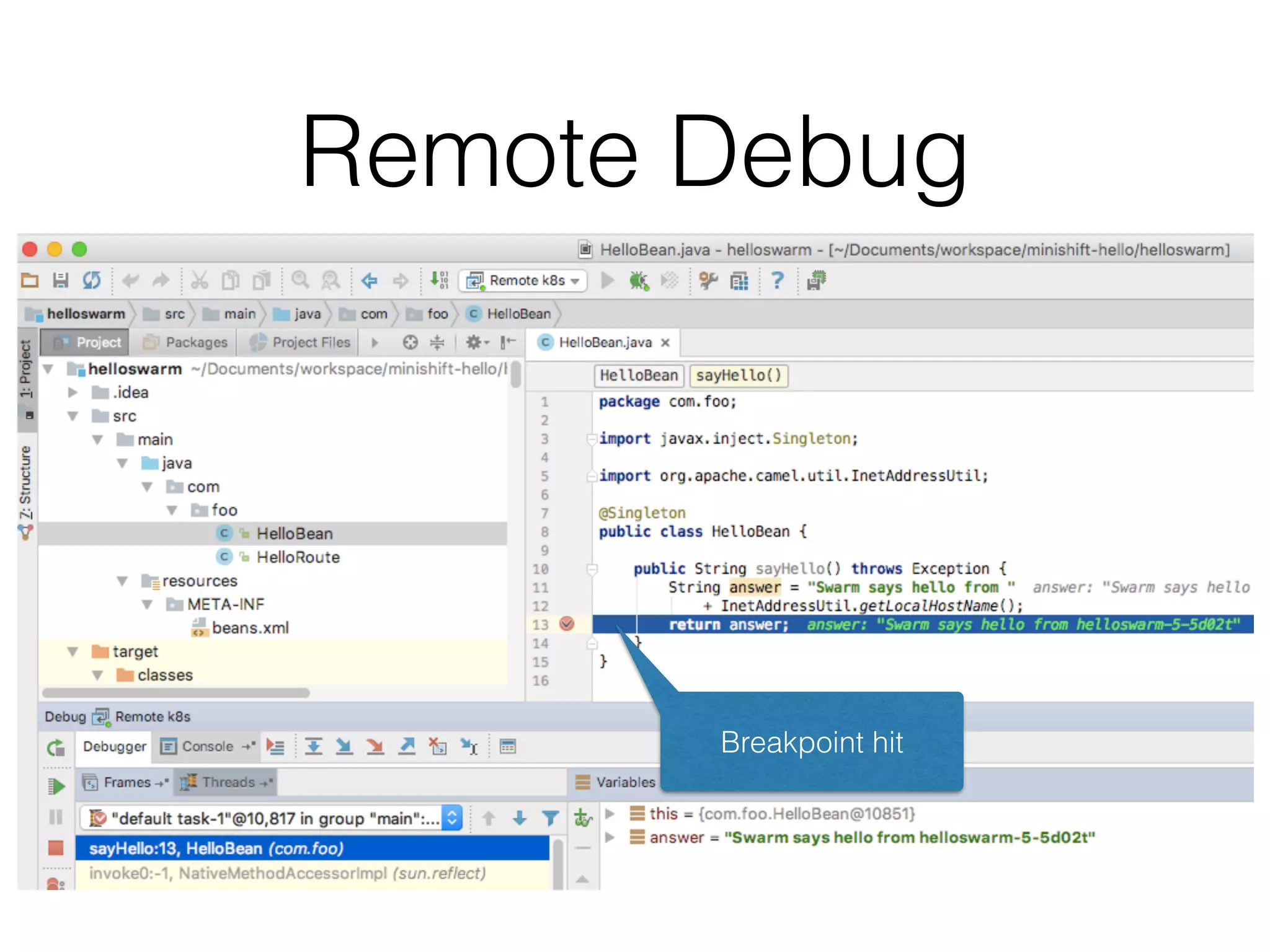 Remote Debug Breakpoint hit 