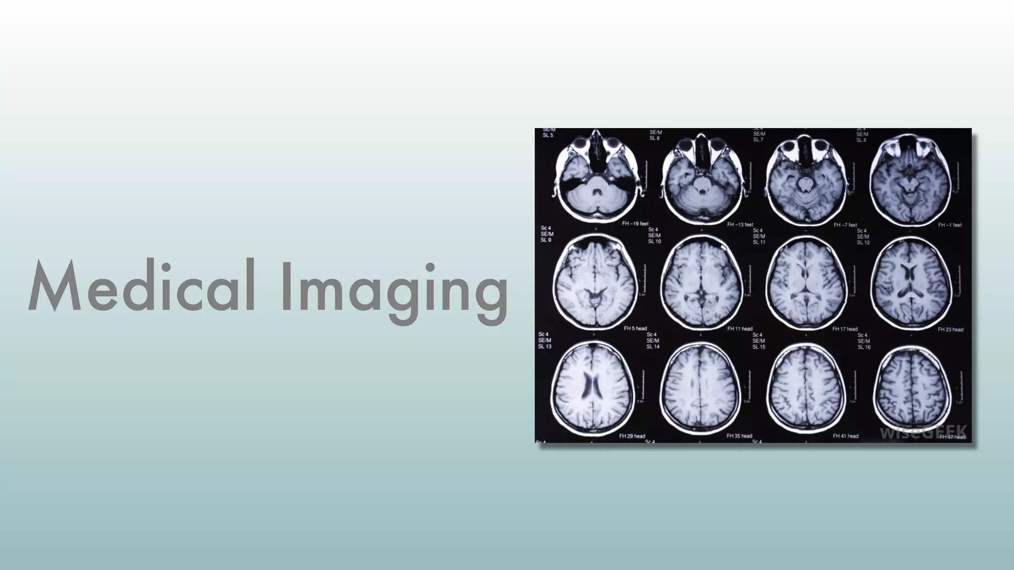 Medical Imaging
 