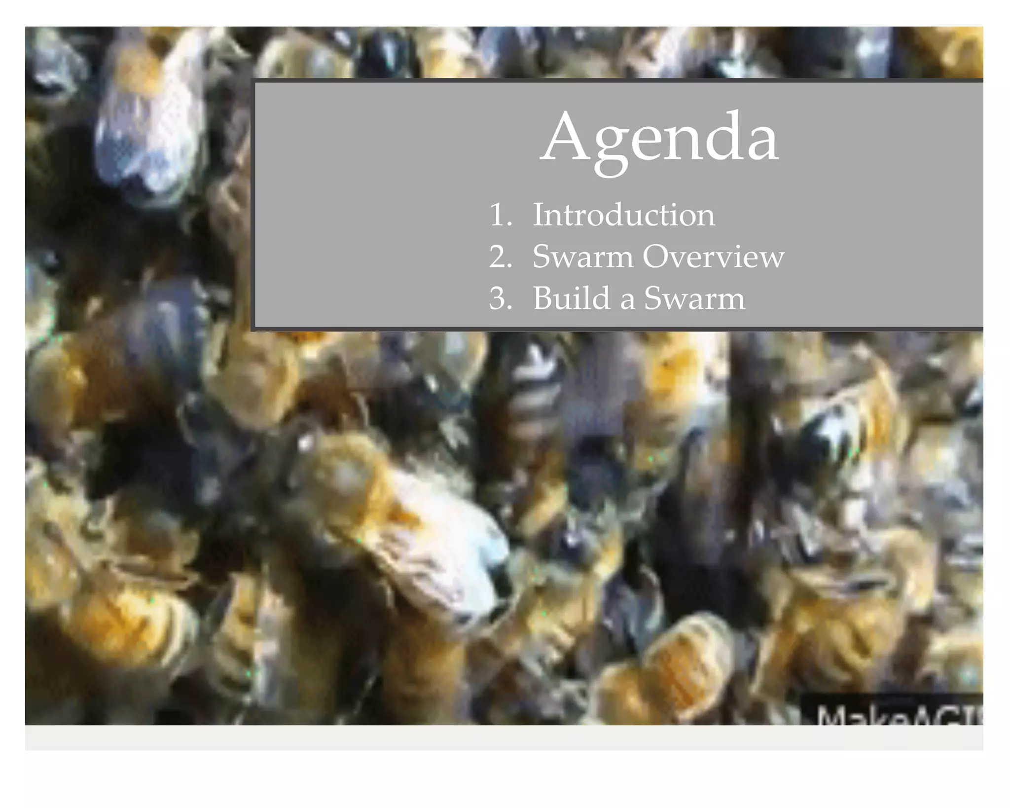 Agenda
1. Introduction
2. Swarm Overview
3. Build a Swarm