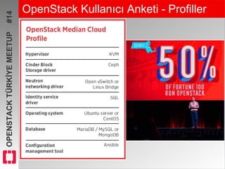 OPENSTACKTÜRKİYEMEETUP#14 OpenStack Kullanıcı Anketi - Profiller
 