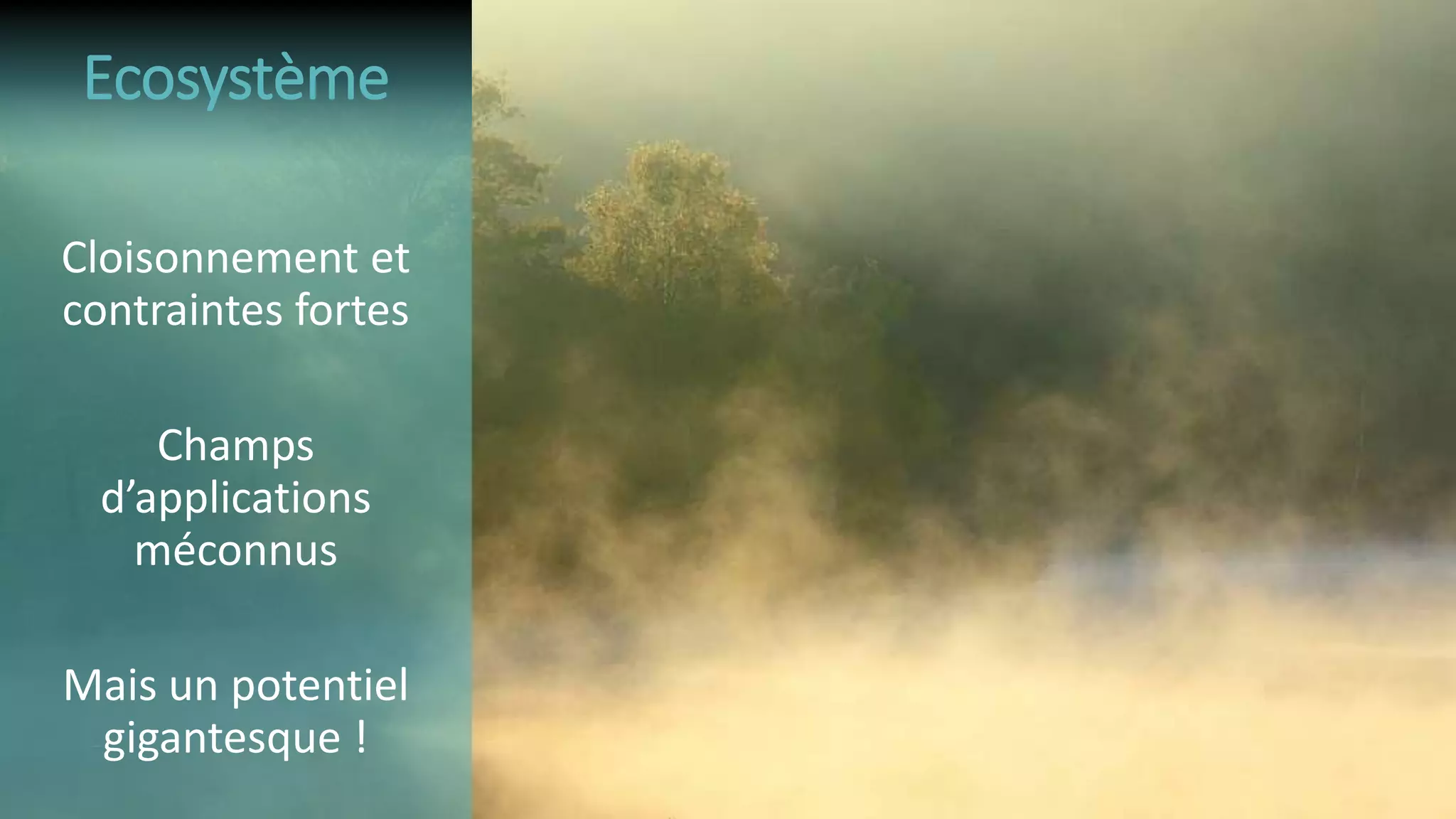 Cloisonnement et
contraintes fortes
Champs
d’applications
méconnus
Mais un potentiel
gigantesque !
Ecosystème
 