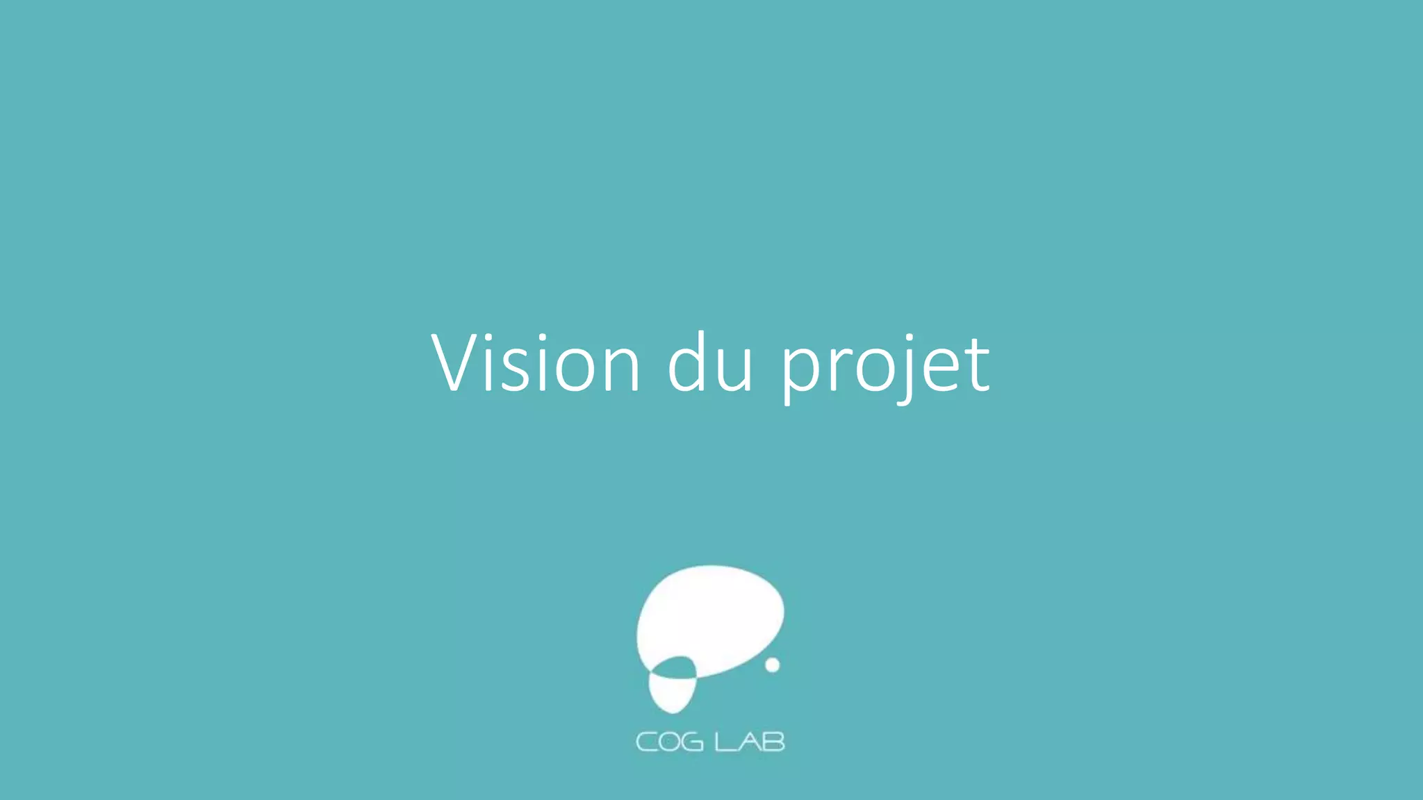 Vision du projet
 