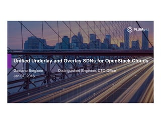 Unified Underlay and Overlay SDNs for OpenStack Clouds
Gaetano Borgione Distinguished Engineer, CTO Office
Jan 07, 2016
 