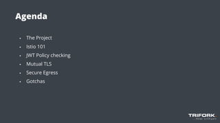 ▪ The Project
▪ Istio 101
▪ JWT Policy checking
▪ Mutual TLS
▪ Secure Egress
▪ Gotchas
Agenda
 