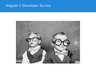 Angular 2 Developer Survey
 
