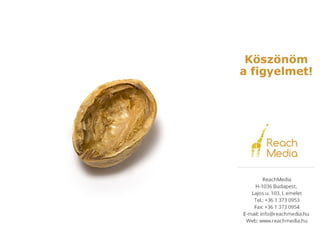 Email Marketing Dióhéjban - 20141117