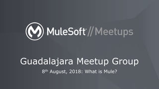 8th August, 2018: What is Mule?
Guadalajara Meetup Group
 