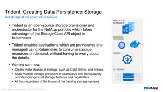 Trident Container Containers and Kubernetes | PDF