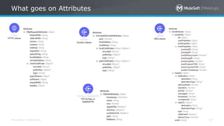 All contents © MuleSoft Inc.
What goes on Attributes
17
 