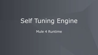 Mule 4 Runtime
Self Tuning Engine
 