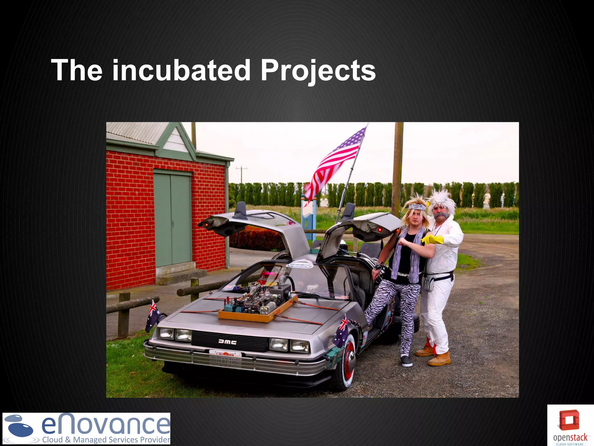 The incubated Projects
 