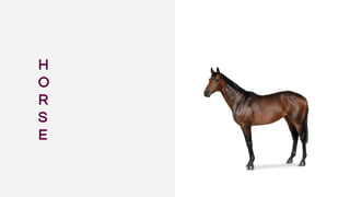 H
O
R
S
E
 