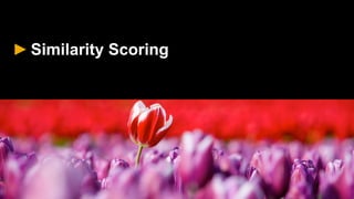 ►Similarity Scoring
 
