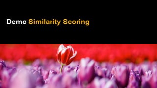 Demo Similarity Scoring
 