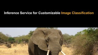 Inference Service for Customizable Image Classification
 