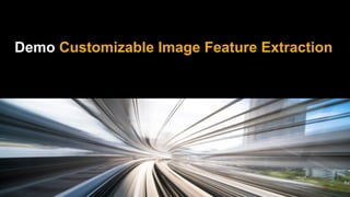 Demo Customizable Image Feature Extraction
 