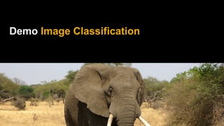 Demo Image Classification
 