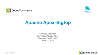 © 2016 DataTorrent
Chinmay Kolhatkar
Committer, Apache Apex
Engineer, DataTorrent
June 21, 2016
Apache Apex-Bigtop
 