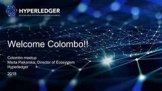 Welcome Colombo!!
Colombo meetup
Marta Piekarska, Director of Ecosystem
Hyperledger
2018
 