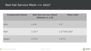 Meetup talk about the Red Hat OpenShift Service Mesh | PDF
