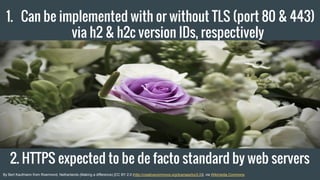 1. Can be implemented with or without TLS (port 80 & 443)
via h2 & h2c version IDs, respectively
2. HTTPS expected to be d...