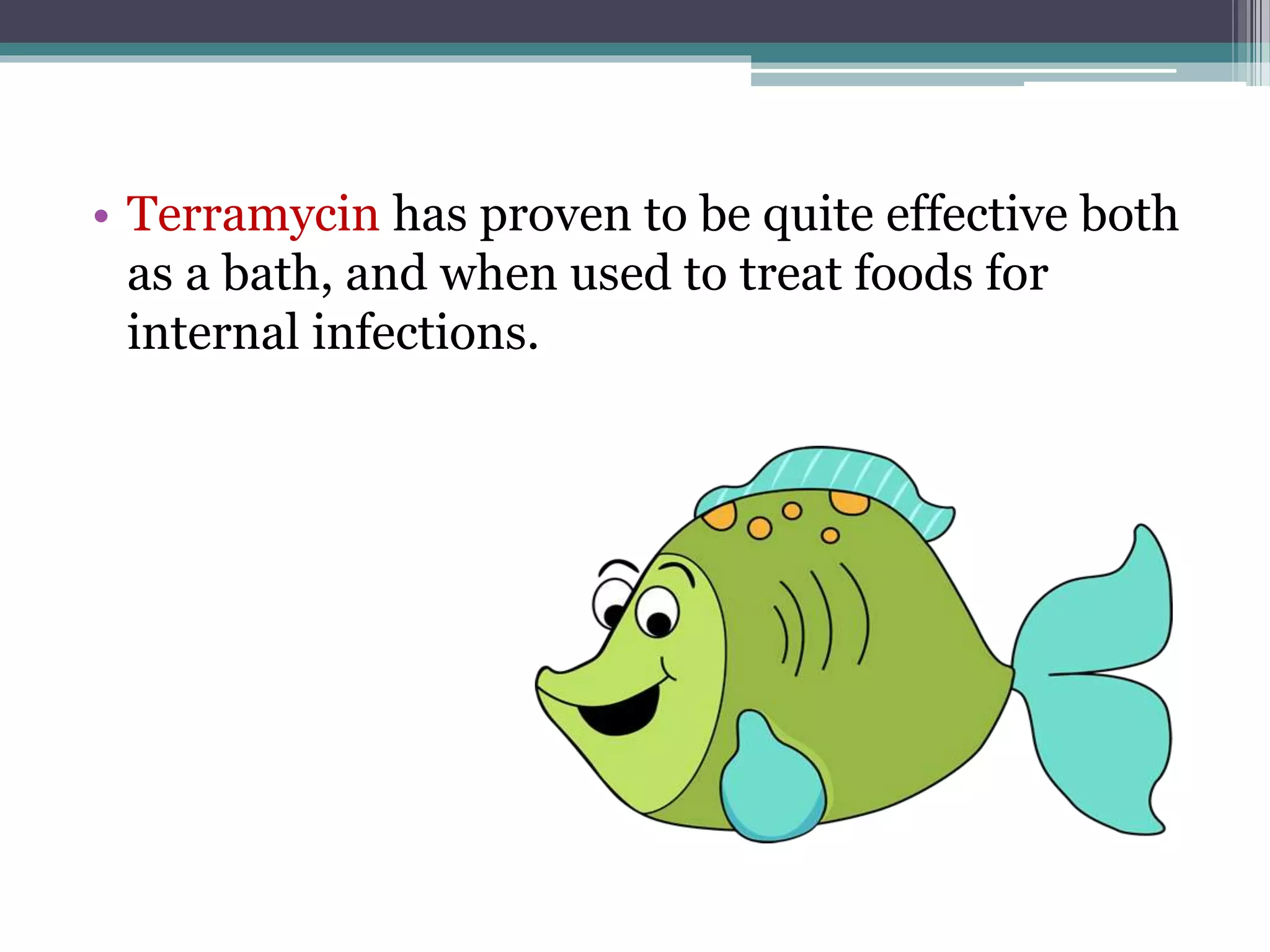 bacterial disease of fishes | PPTX