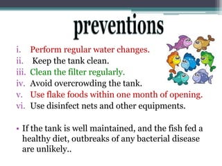 View of bacterial disease of fishes | PPTX