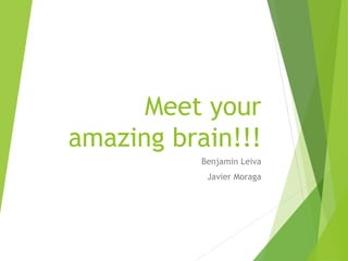 Meet your
amazing brain!!!
Benjamin Leiva
Javier Moraga
 
