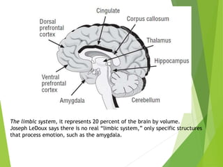 The limbic system, it represents 20 percent of the brain by volume.
Joseph LeDoux says there is no real “limbic system,” only specific structures
that process emotion, such as the amygdala.
 