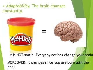 • Adaptability. The brain changes
constantly.
=
It is NOT static. Everyday actions change your brain
MOREOVER, it changes since you are born ultil the
end!
 