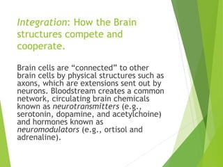 Integration: How the Brain
structures compete and
cooperate.
Brain cells are “connected” to other
brain cells by physical structures such as
axons, which are extensions sent out by
neurons. Bloodstream creates a common
network, circulating brain chemicals
known as neurotransmitters (e.g.,
serotonin, dopamine, and acetylchoine)
and hormones known as
neuromodulators (e.g., ortisol and
adrenaline).
 