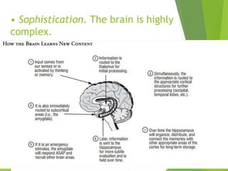 • Sophistication. The brain is highly
complex.
 
