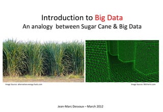 Introduction to Big Data
                   An analogy between Sugar Cane & Big Data




Image Source: alternative-energy-fuels.com                                    Image Source: MicFarris.com




                                             Jean-Marc Desvaux – March 2012
 