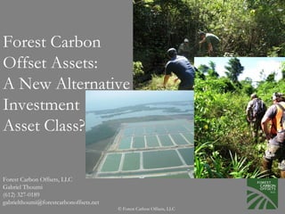 Forest Carbon
Offset Assets:
A New Alternative
Investment
Asset Class?

Forest Carbon Offsets, LLC
Gabriel Thoumi
(612) 327-0189
gabrielthoumi@forestcarbonoffsets.net
                                        © Forest Carbon Offsets, LLC
 