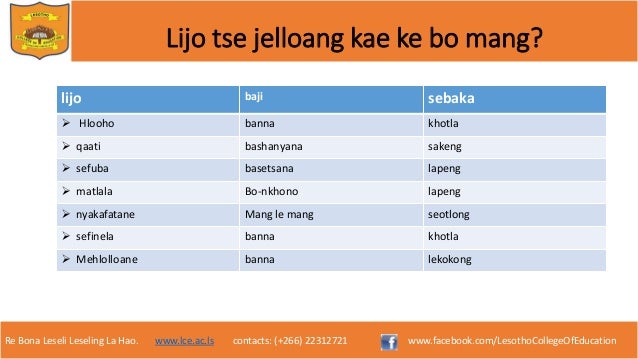 Mefuta ea lijo tsa basotho pat