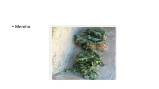 • Meroho
 