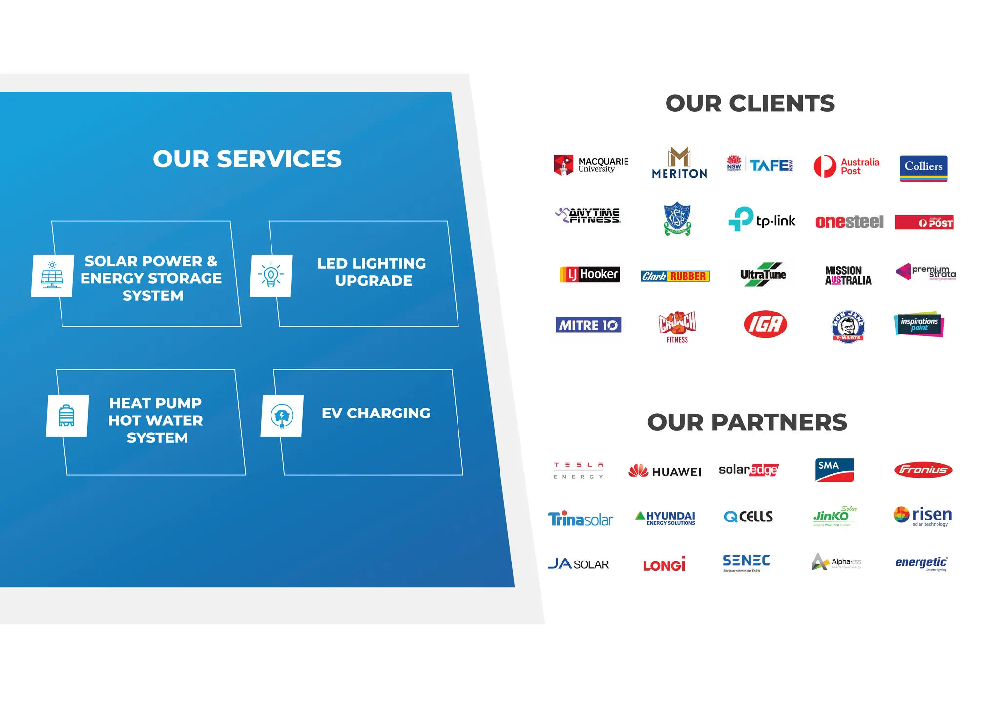 megnya company