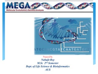 Prepared By
Nabajit Roy
M.Sc 2nd Semester
Dept. of Life Science & Bioinformatics
AUS
 