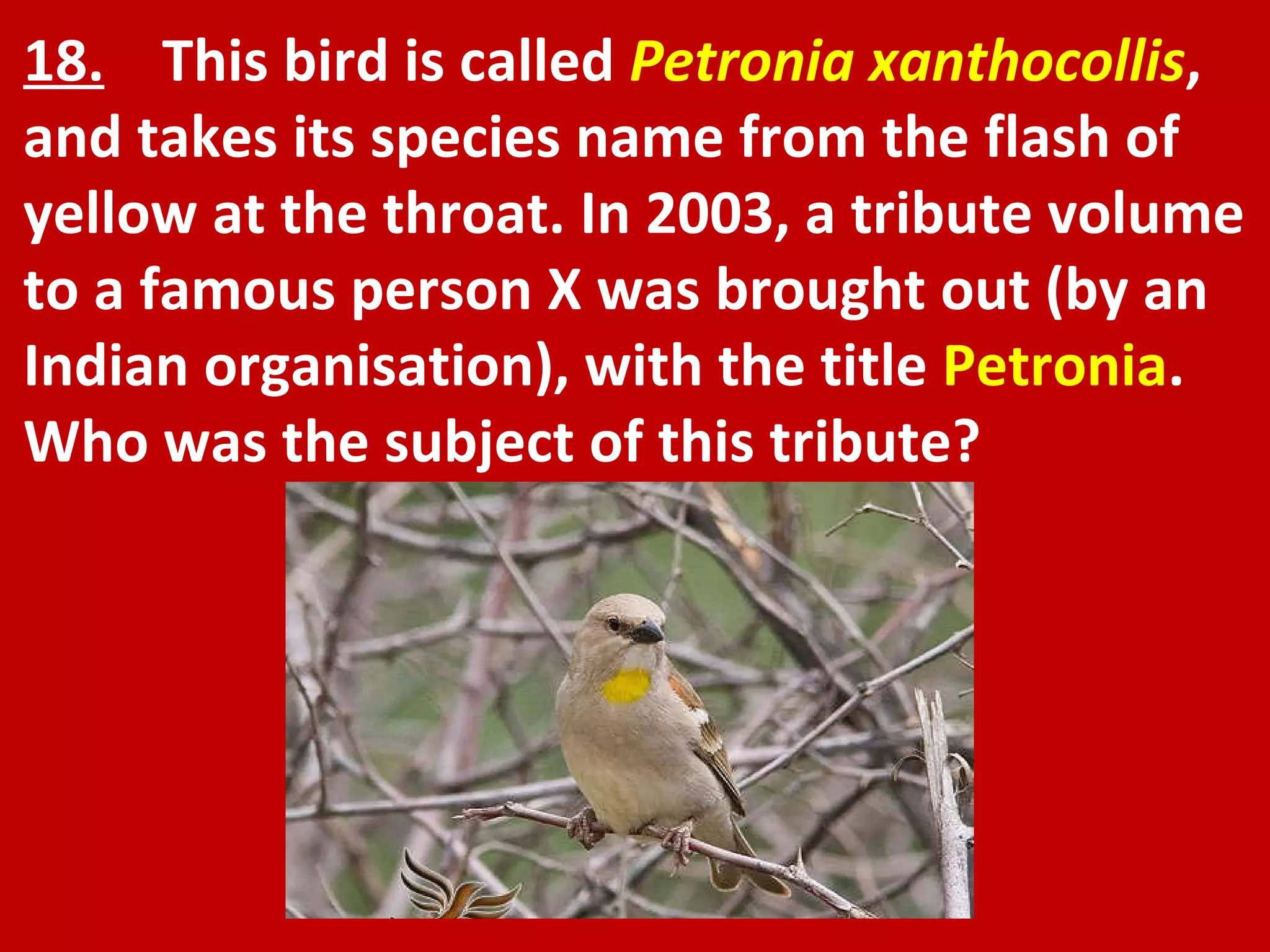 18.   This bird is called  Petronia xanthocollis , and takes its species name from the flash of yellow at the throat. In 2003, a tribute volume to a famous person X was brought out (by an Indian organisation), with the title  Petronia . Who was the subject of this tribute? 