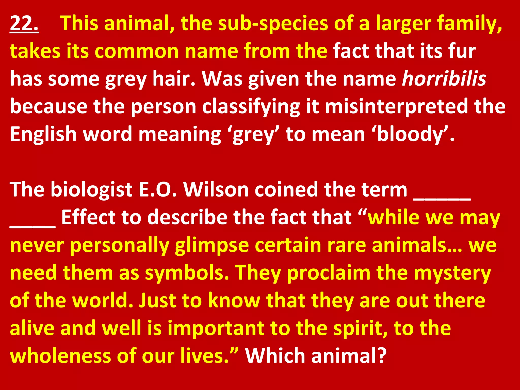 22.   This animal, the sub-species of a larger family, takes its common name from the  fact that its fur has some grey hair. Was given the name  horribilis  because the person classifying it misinterpreted the English word meaning ‘grey’ to mean ‘bloody’.  The biologist E.O. Wilson coined the term _____ ____ Effect to describe the fact that “ while we may never personally glimpse certain rare animals… we need them as symbols. They proclaim the mystery of the world. Just to know that they are out there alive and well is important to the spirit, to the wholeness of our lives.”  Which animal? 