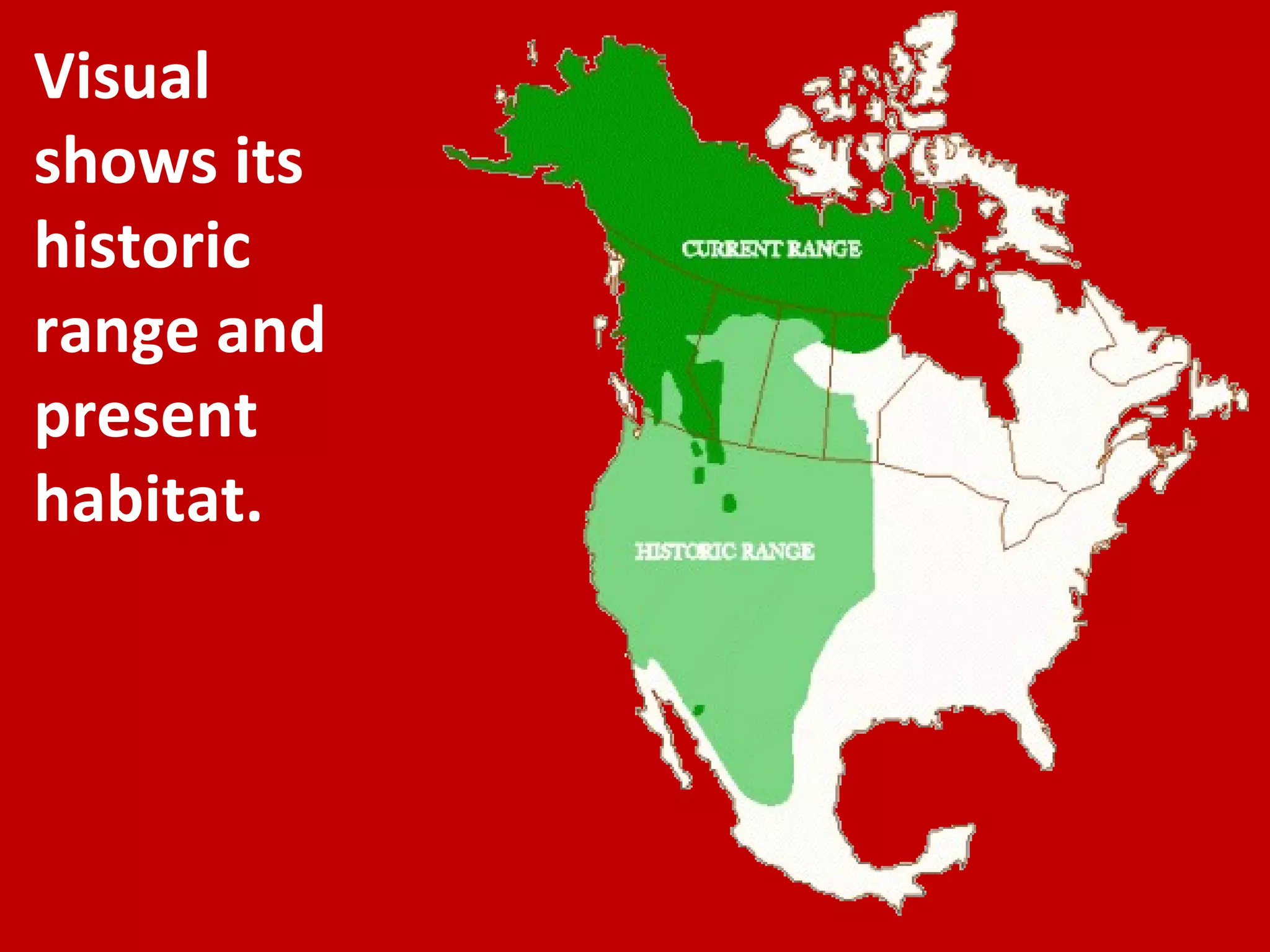 Visual shows its historic range and present habitat. 