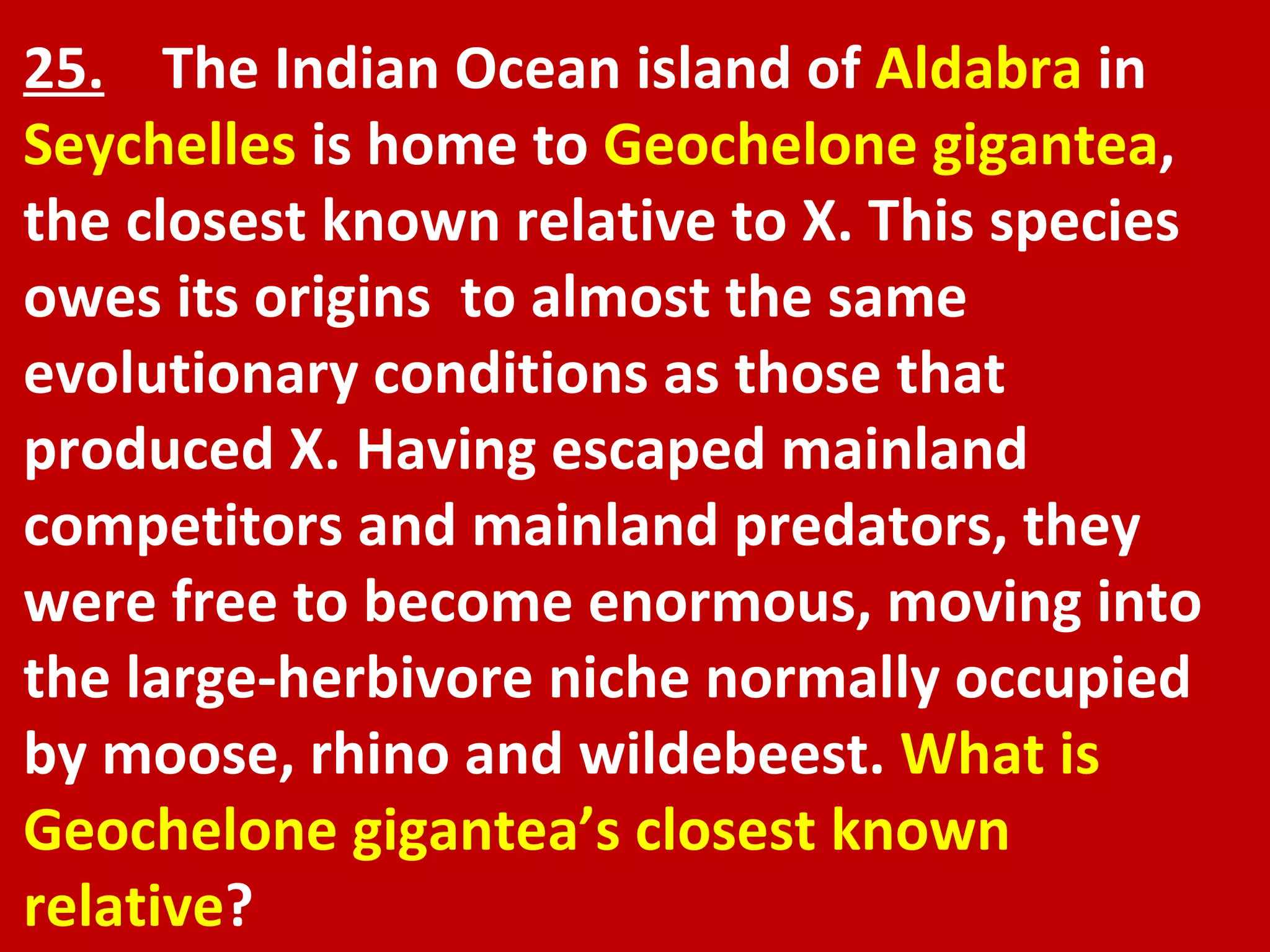 25.   The Indian Ocean island of  Aldabra  in  Seychelles  is home to  Geochelone gigantea , the closest known relative to X. This species owes its origins  to almost the same evolutionary conditions as those that produced X. Having escaped mainland competitors and mainland predators, they were free to become enormous, moving into the large-herbivore niche normally occupied by moose, rhino and wildebeest.  What is Geochelone gigantea’s closest known relative ?  