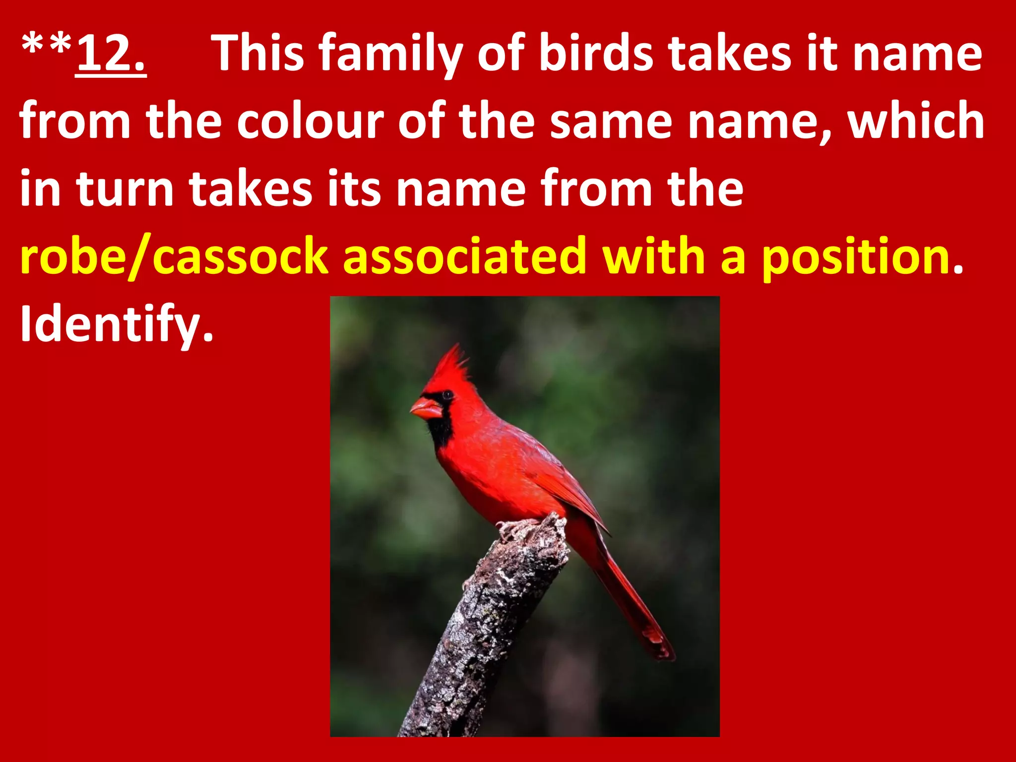 ** 12.   This family of birds takes it name from the colour of the same name, which in turn takes its name from the  robe/cassock associated with a position . Identify. 