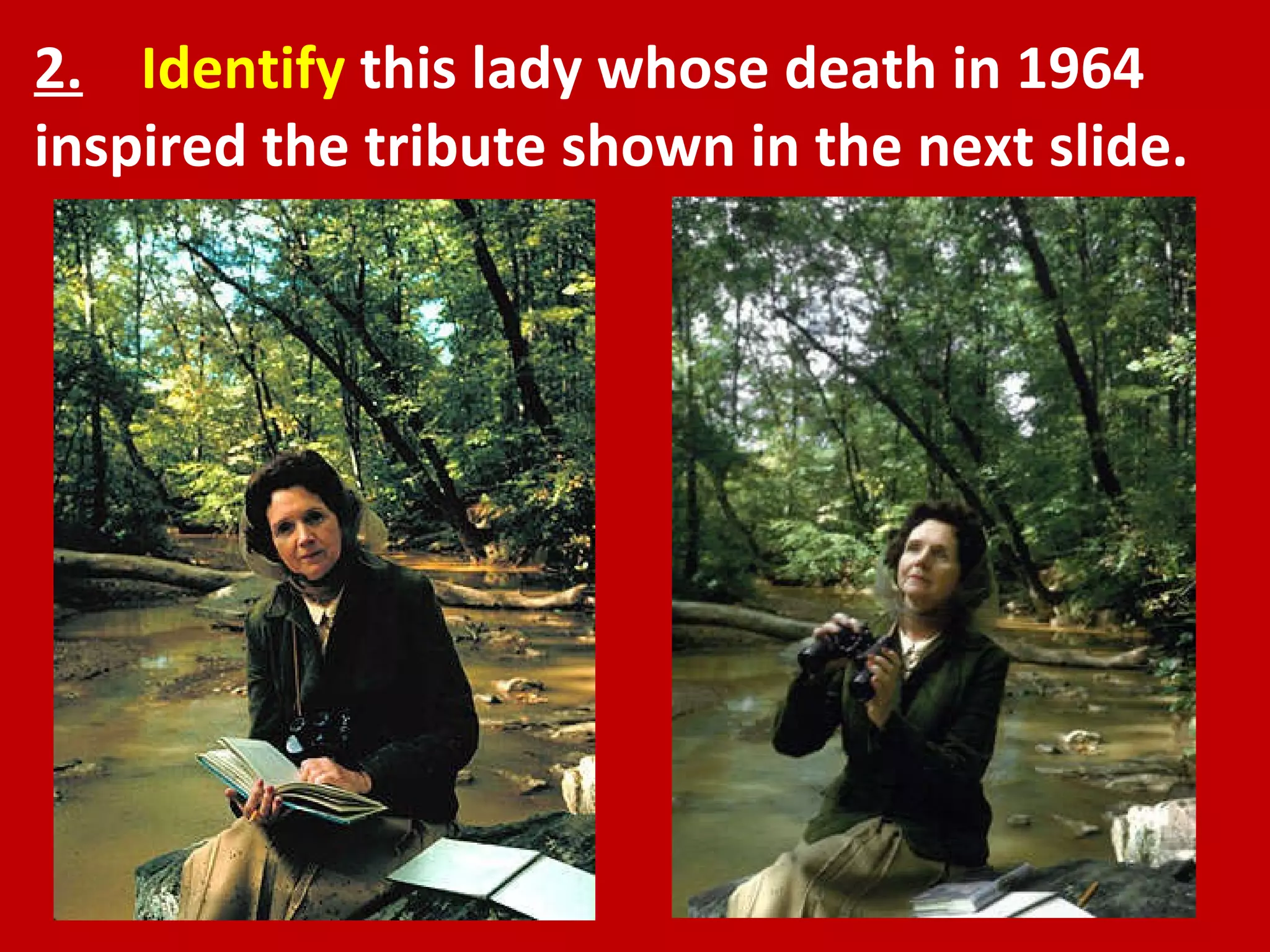 2.   Identify  this lady whose death in 1964 inspired the tribute shown in the next slide. 