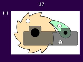 17
(a)
 