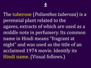 4
The tuberose (Polianthes tuberosa) is a
perennial plant related to the
agaves, extracts of which are used as a
middle note in perfumery. Its common
name in Hindi means “fragrant at
night” and was used as the title of an
acclaimed 1974 movie. Identify its
Hindi name. (Visual follows.)
 