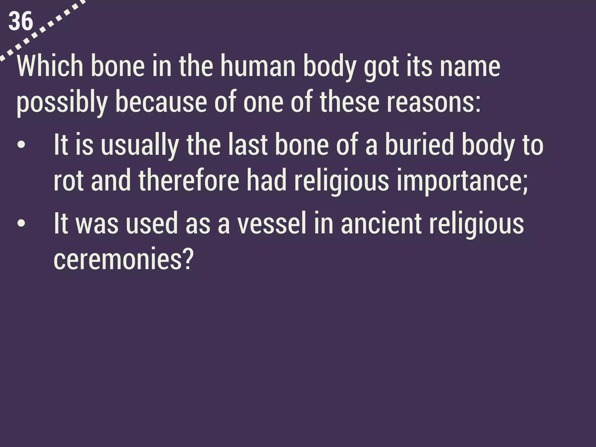 36
Which bone in the human body got its name
possibly because of one of these reasons:
• It is usually the last bone of a buried body to
rot and therefore had religious importance;
• It was used as a vessel in ancient religious
ceremonies?
 