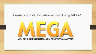 Construction of Evolutionary tree Using MEGA
 