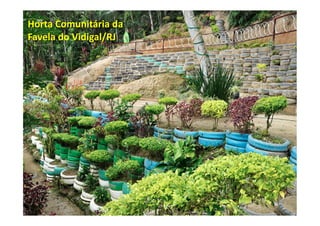 Horta	
  Comunitária	
  da	
  
Favela	
  do	
  Vidigal/RJ	
  
 